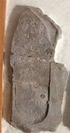 Obsérvese la protuberancia a la altura del talón del lado derecho es el trilobite