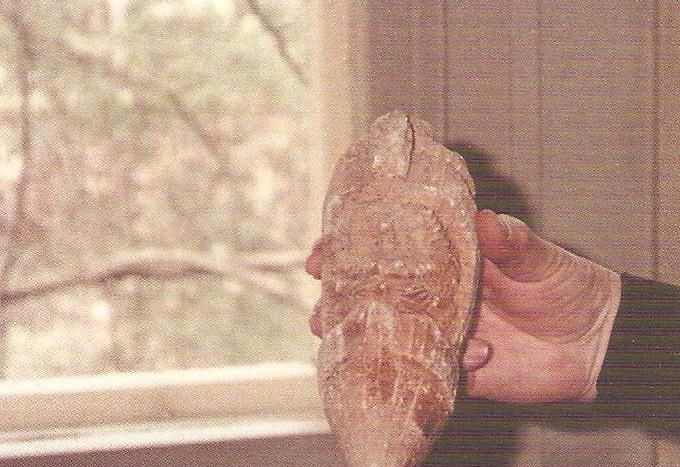 Foto tomada del libro de Zecharia Sitchin Las Expediciones de Crónicas de la Tierra. Tras un tira y afloja la fotografía fue realizada con la condición de que Sitchin (su rostro) no apareciese junto al objeto.