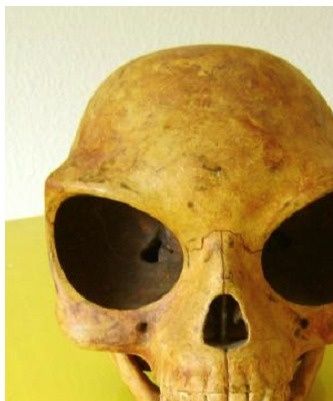 Extraña morfología  de la Calavera de Olstykke
