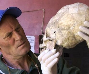 Brian Forster, revisando uno de estos cráneos 