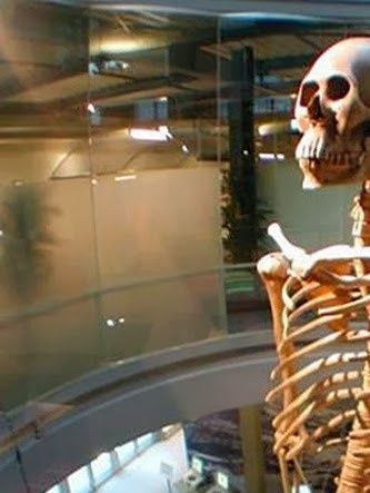 Esqueleto de más de 7.0 metros que se le puede visitar en el Mystery Park en Interlaken – Suiza, 
