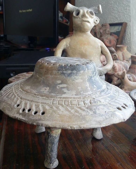 Figura 7