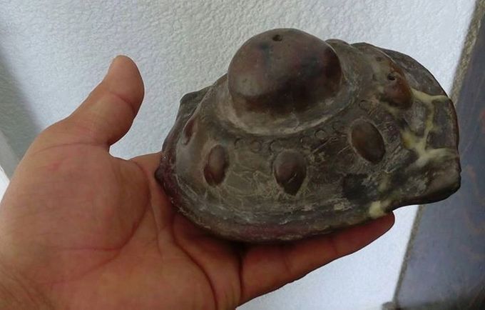 Figura 3