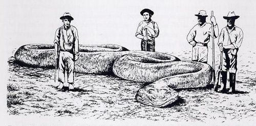 Fawcett fue agasajado con relatos de anacondas gigantes que dijeron medía 20 metros o más.
(Imagen basado en parte en una fotografía publicado en el diario de Pernambuco, Enero 24 de 1948.)
