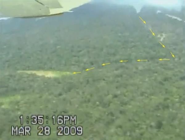 En esta imagen del video realizado por Warner muestra un sendero de árboles de gran altura derribados, posiblemente por la Yacumama, junto al afluente del río Amazonas.