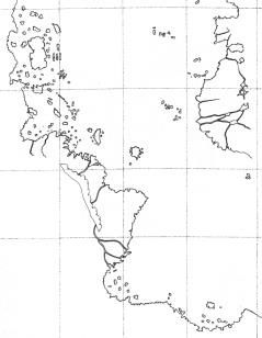Lo que escribió Piri Reis en su mapa, en forma de notas o en su 
