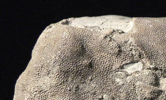 Piedra creada por concreción, sumamente, pequeña e irregular