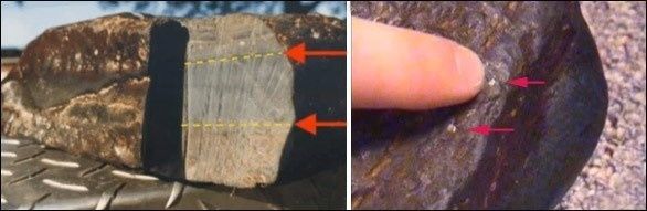 Las pruebas hechas por los laboratorios de Galbraith en Knoxville, Tennessee, demostraron que la muestra contenía más 0.7% carbono orgánico, consistente con la madera fosilizada. Por lo que la muestra alguna vez fue materia viviente.