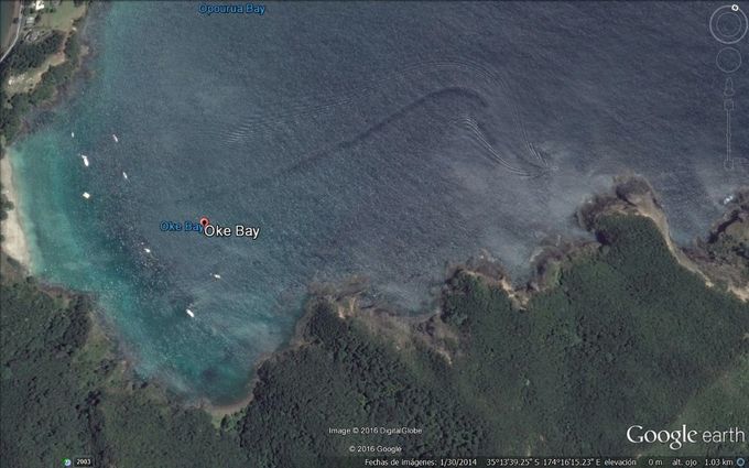 Serpiente Marina de 1 km de Longitud y unos 20 m de ancho, observen como las olas se generan con el movimiento de su cuerpo ubicada en Oke Bay en Nueva Zelanda la imagen es de 2016, en las nuevas imágenes 2022 ya no aparece