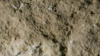 Talla, estimada en 35,000 A.P., 
Abri Castanet en el Valle de la Vézère, Francia
