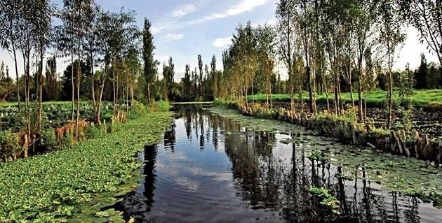 Las Chinampas siguen siendo así desde el tiempo de los Aztecas