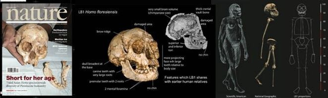 El 'Homo Floresiensis', coexistió, al menos en el tiempo, con nuestra especie, pero no pertenece a nuestra rama del género 'Homo'. 
