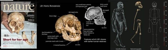 El 'Homo Floresiensis', coexistió, al menos en el tiempo, con nuestra especie, pero no pertenece a nuestra rama del género 'Homo'. 
