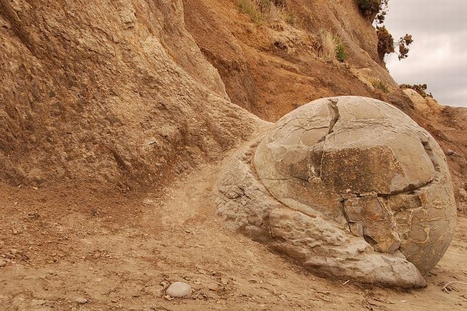 Las Misteriosas Esferas de Piedra “MOERAKI” de Nueva Zelanda.