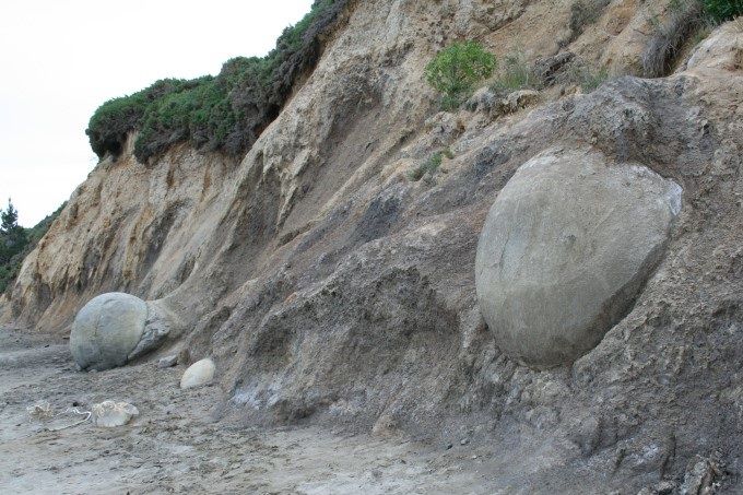Una de las esferas de piedra Moeraki aparece de la tierra a orillas de la playa