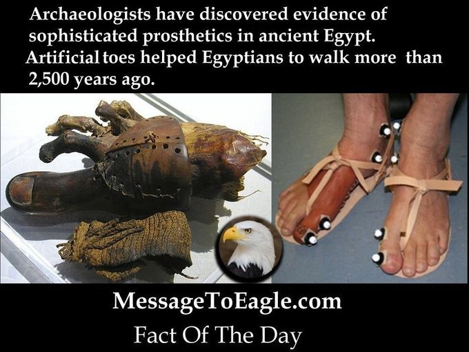 Evidencia prehistórica de sofisticadas prótesis en el antiguo Egipto – los pies artificiales ayudaron a los egipcios de a pie