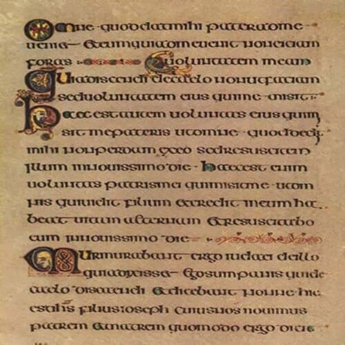 “The Coelbook“