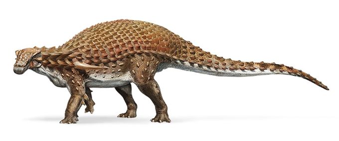 Ilustración de un Nodosaurio
