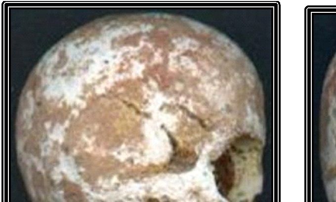Un cráneo de 360 millones de años fue hallado en Marruecos en estratos del periodo Devónico; por los estudios científicos realizados con Tomografía Computarizada, se comprobó que corresponde a un ser del género Homo adulto (dientes gastados), aunque su tamaño es solamente de 18.5 cm de circunferencia,  siendo  que  la  de  los  humanos  actuales  son  de  alrededor  de 52 cm.