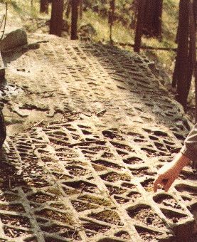 Foto de la roca en su localización original antes que fuera removida.