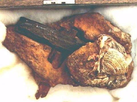 El Martillo de Texas