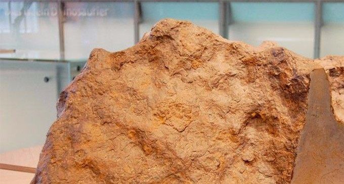 Este es un fragmento del asteroide que creó el cráter de Chicxulub.
Foto: Faith Tucker, NASA
