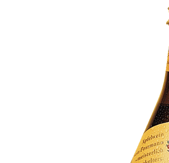 Sidra Apfelwein