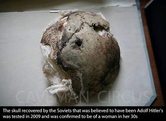 El Cráneo recobrado por los Sovieticos que se pensaba tuvo que ser de Adolfo Hitler fue estudiado en 2009 y fue confirmado que era de una mujer de unos 30 años