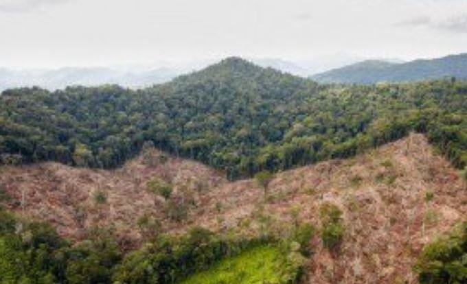 Angamuco vista aérea de la selva 