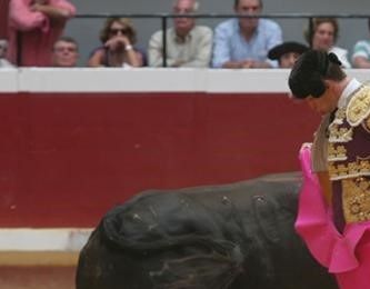 Chicuelinas del Juli