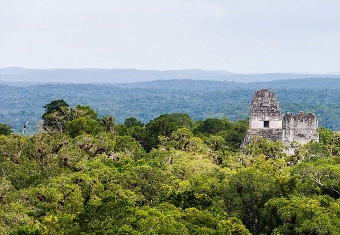 Los primeros asentamientos mayas fueron construidos alrededor del año 1,000 a. C, y una gran mayoría de las ciudades mayas se derrumbaron por el año 900d.C. Encontraron que algunas 60,000 estructuras fueron encontradas en los últimos dos años.