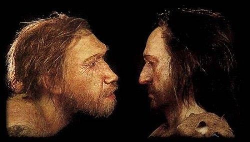 Neanderthal y Sapiens