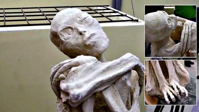 Analizan restos de una momia que datan del siglo V