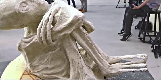 Un Ser de 3 dedos en las manos y en los pies con estructura cromosómica igual a los humanos