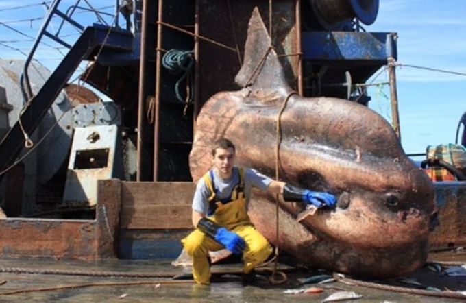 Tengo 39 años y he estado trabajando a bordo de los pesqueros durante 17 años. Vivo en Murmansk, Rusia. Es un gran puerto y es por eso que me inscribí en la Universidad de Marina después de la escuela. Mi especialización tiene mucho que ver con la tecnología de pesca. Sé cómo preparar el pescado para congelarlo y entregarlo al cliente.
