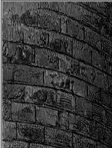 Murallas de Antioquía