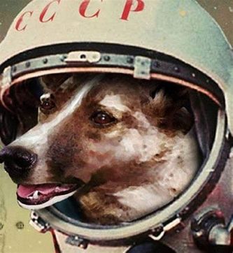 La perrita Laika con un casco de Cosmonauta