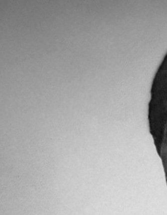 Dred Scott/Foto:dominio público en Wikimedia Commons
