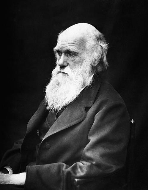 Charles Darwin
(1809/02/12 - 1882/04/19)