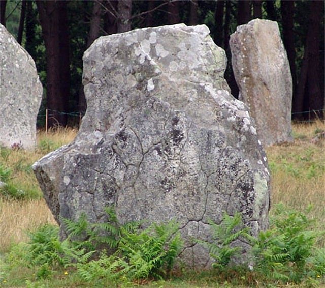 En este menhir situado en uno de los alineamientos de Carnac, se aprecia el mismo efecto.