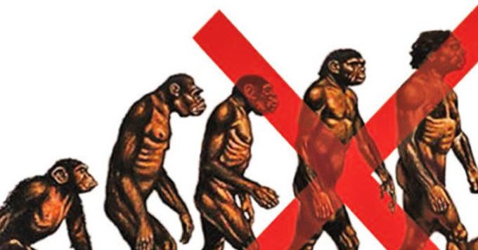 Darwin, y, ¿dónde quedó el eslabón perdido?
