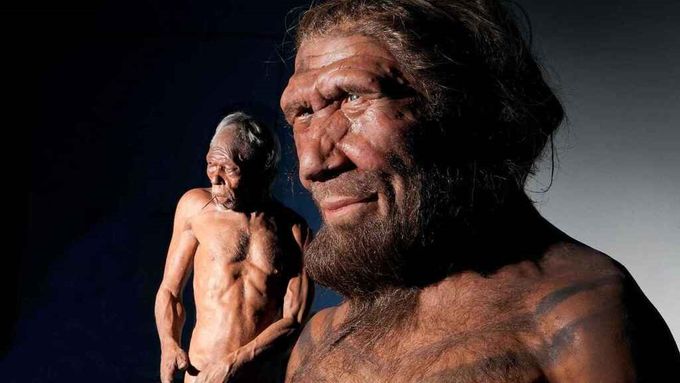 La reconstrucción del oído del hombre de Neandertal demuestra que tenían capacidades lingüísticas similares a la del humano moderno.