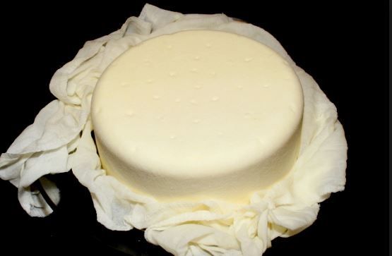 Queso de Aro