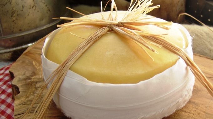 Queso Sierra