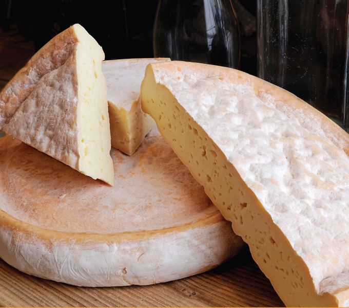 Queso Le D'Iberville