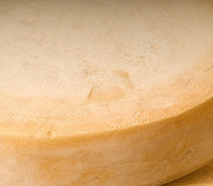 Queso Victor et Berthold