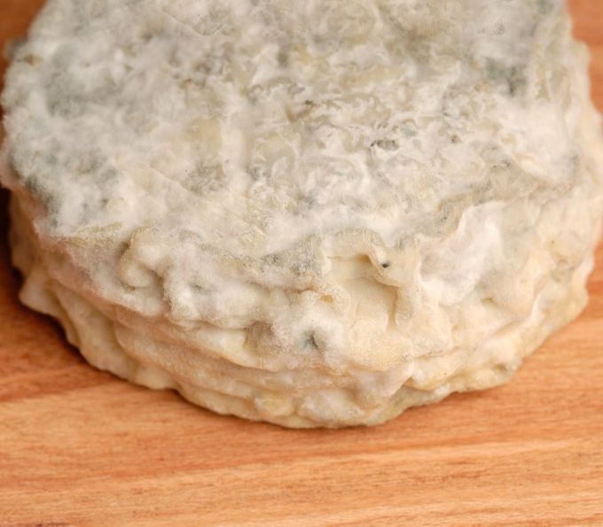 Queso Cap Rond
