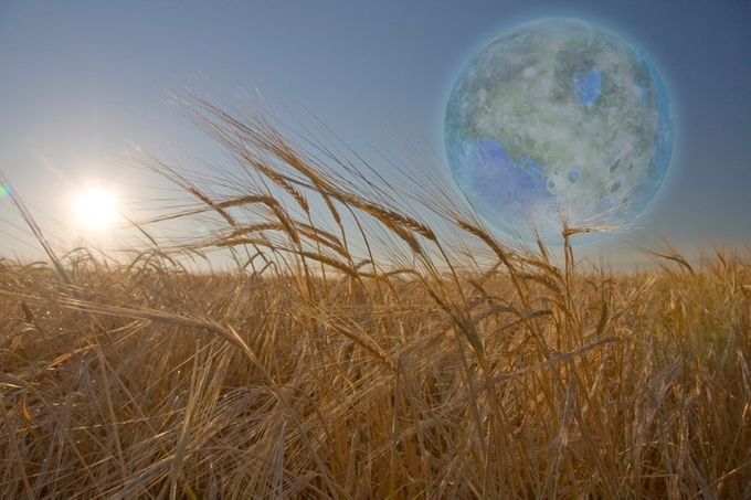 Las posibilidades de encontrar un planeta con las condiciones perfectas para albergar vida humana son escasas. Por tanto, los científicos estudian el bioformado: la siembra de un planeta con vida.
