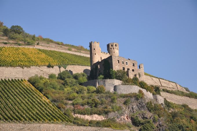 El castillo de Ehrenfels (Burg Ehrenfels en alemán)