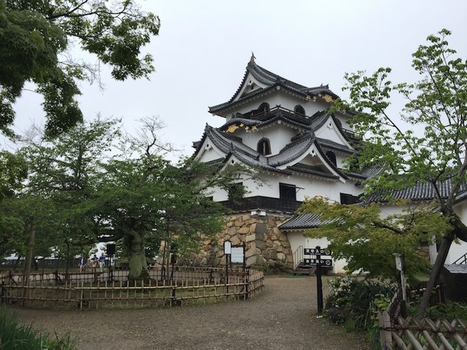 Castillo de Hikone